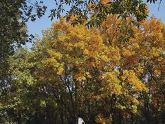 -白塘生态植物园