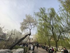 -金宫殿故址