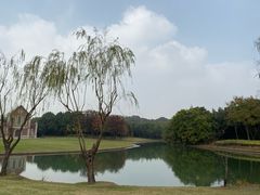 -佘山世茂艾美·御珍轩中餐厅