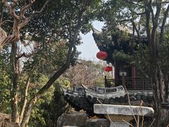 -水绘园