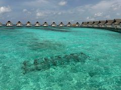 -中央格兰德岛温泉度假酒店 - 全包