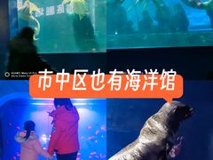 -重庆欢乐海底世界