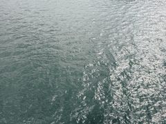 -千岛湖城中湖游船码头