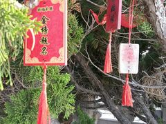 -上海方塔园