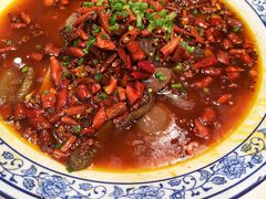 -院8里·少城记忆老川菜(宽窄巷子店)