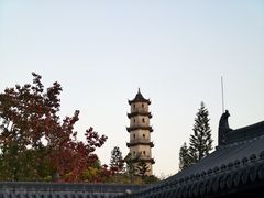 -江心屿景区