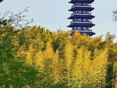 -宜兴龙背山森林公园