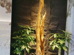 -观宴·品质赣菜(高新大道店)