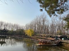 -合肥滨湖国家森林公园