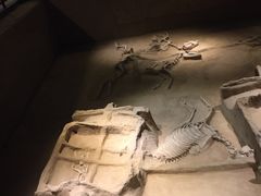 -洛阳周王城天子驾六博物馆