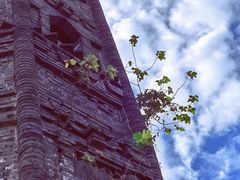 -上海佘山国家森林公园天马山园