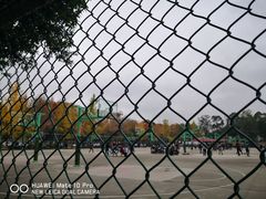 -西南交通大学九里校区-篮球场