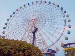 -琴岛之星摩天轮