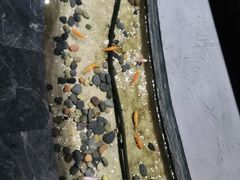 -金水养生(华新店)