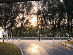 景点-宝安西湾红树林湿地公园