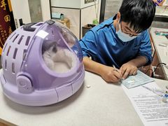 -美联众合宠物医院·爱萌分院·内外科·猫科中心