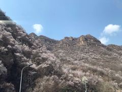 -百里山水画廊