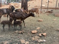 -昆明动物园