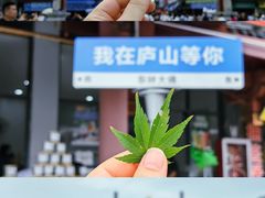 -庐山风景名胜区