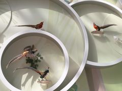 -陕西自然博物馆