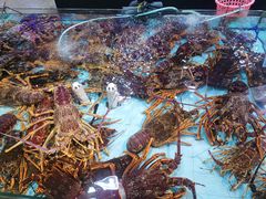 水产区-渔民新村(番禺总店)