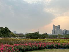 -海心沙亚运公园
