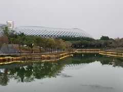 -深圳湾木棉花酒店