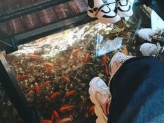 -颐和•海鲜砂锅粥•啫啫煲(奥林匹克广场店)