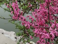 -大兴滨河森林公园