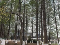 -白鹭湾湿地公园