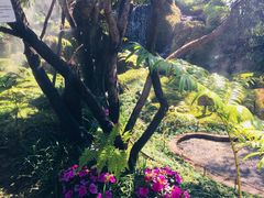 -Chom Cafe and Restaurant