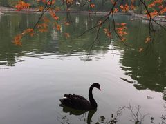 -钓鱼台国宾馆