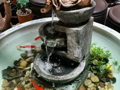-普洱茶府(博乐广场店)