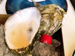 香槟啫喱金皇御生蚝-酒池星座(深圳湾后海汇店)