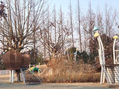 -前小桔亲子创意农场·草莓采摘·露营烧烤