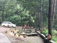 -重庆雨台山风景区