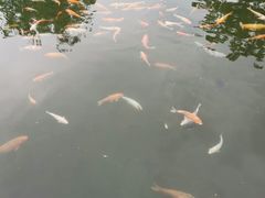 -万景饭店·鱼街农家菜