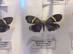 -吉林省自然博物馆