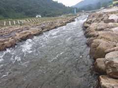 -四川省成都市彭州市白鹿镇