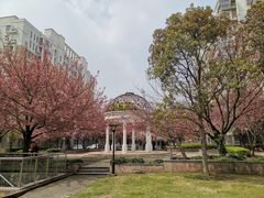 -世博家园八街坊