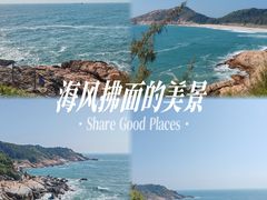 -广东惠东海龟国家级自然保护区