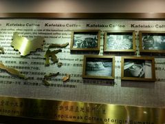 -猫屎咖啡(日月光中心广场店)