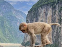 -白帝城·瞿塘峡景区