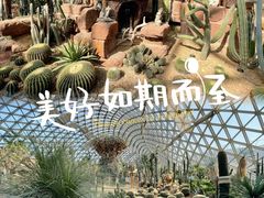 -上海辰山植物园