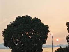 -美味之家·湖景农家乐(太湖东山店)