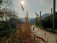 -中国茶叶博物馆(双峰馆区)