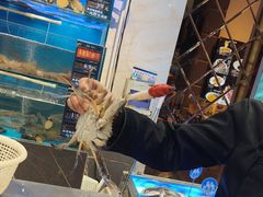 -真味海鲜坊