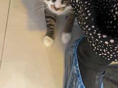 -平行世界·猫咖(首经贸店)