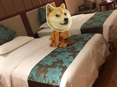 -水晶之星洗浴温泉汗蒸