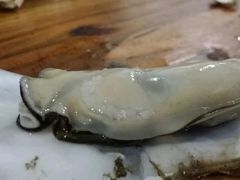 -蚝专家(北滘店)